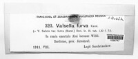 Valsella furva image
